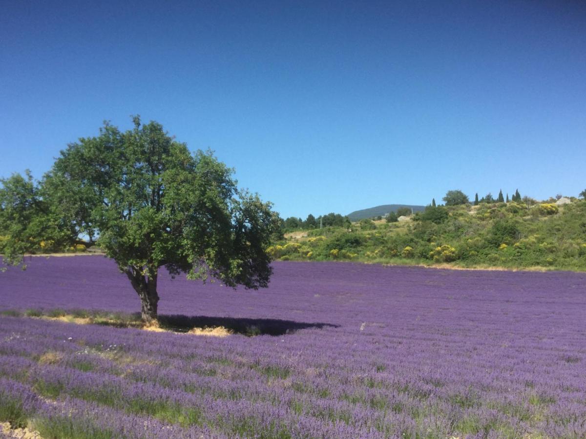 Le Jardin De Lau Villa โอบิยอง ภายนอก รูปภาพ
