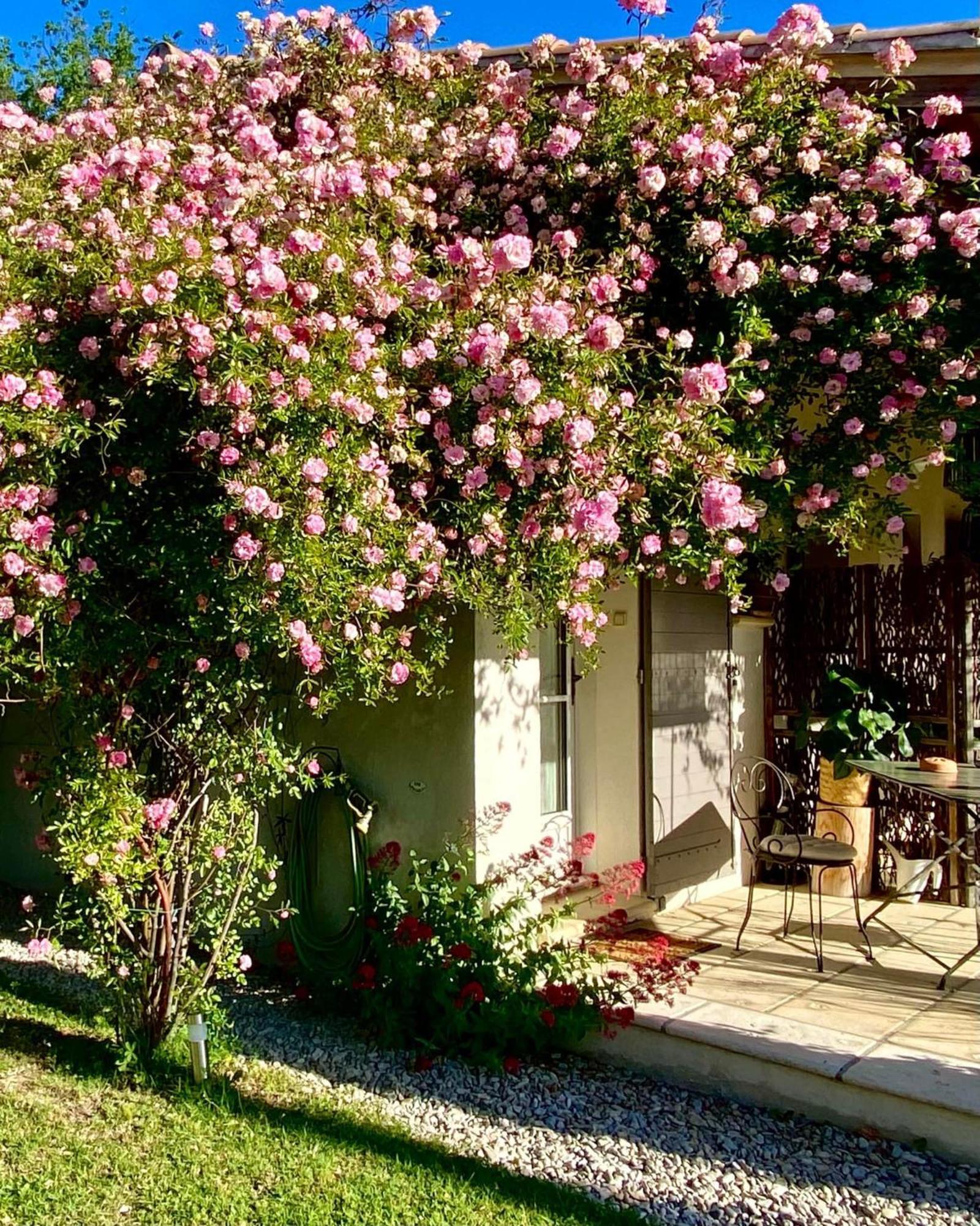 Le Jardin De Lau Villa โอบิยอง ภายนอก รูปภาพ